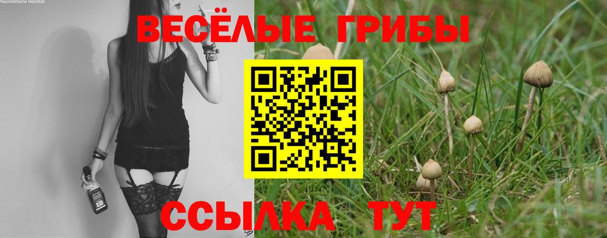 Ртищево  Псилоцибиновые грибы GOLDEN TEACHER  Вход с VPN 